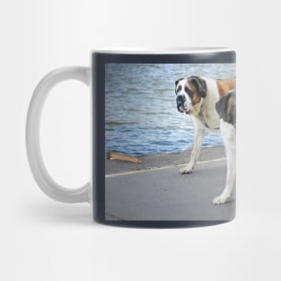 "Eyes FORWARD Barkley!" Mug